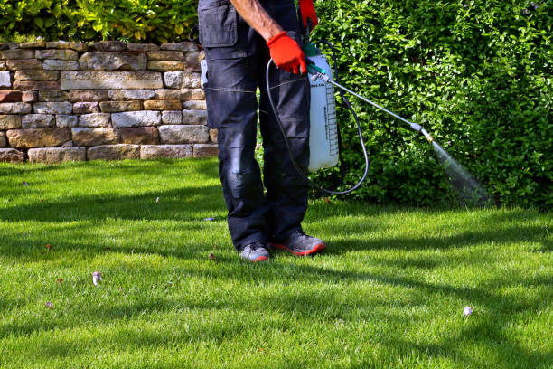 Best Outdoor Pest Control  in Shoemakersville, PA